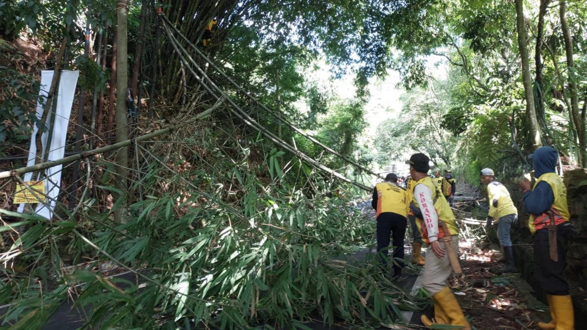 Petugas dibantu warga saat mengevakuasi material rumpun bambu tumbang di Lembang Bandung Barat. Dok Polsek Lembang