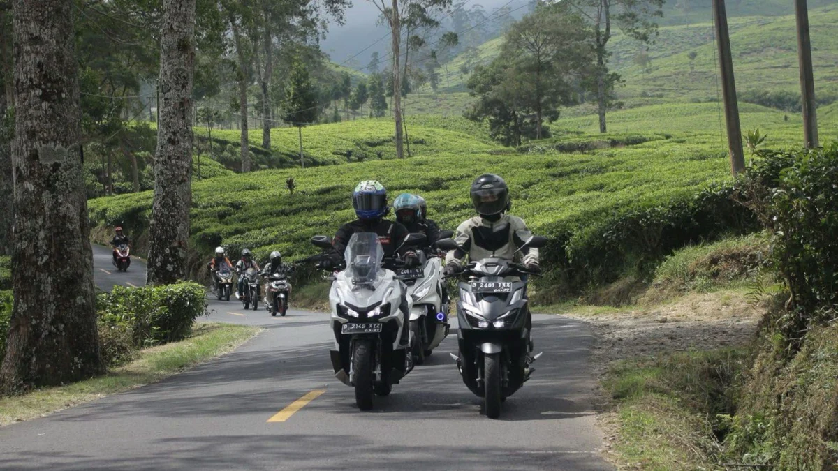 Kenali Arti dan Fungsi Marka Jalan: Panduan Penting untuk Pengendara Kenali Arti dan Fungsi Marka Jalan: Panduan Penting untuk Pengendara
