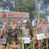 Forkopimda Kabupaten Bandung melaksanakan Panen Raya Jagung, dalam rangka mendorong dan membantu program ketahanan pangan nasional di Desa Arjasari, Kecamatan Arjasari, Kabupaten Bandung, Kamis (24/4/2025). Foto Agi