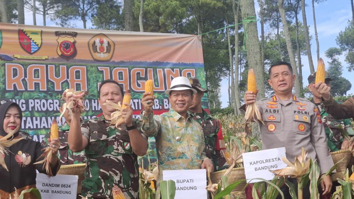 Forkopimda Kabupaten Bandung melaksanakan Panen Raya Jagung, dalam rangka mendorong dan membantu program ketahanan pangan nasional di Desa Arjasari, Kecamatan Arjasari, Kabupaten Bandung, Kamis (24/4/2025). Foto Agi