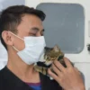 Ilustrasi: Seorang petugas merawat kucing. Foto: Dimas Rachmatsyah / Jabar Ekspres