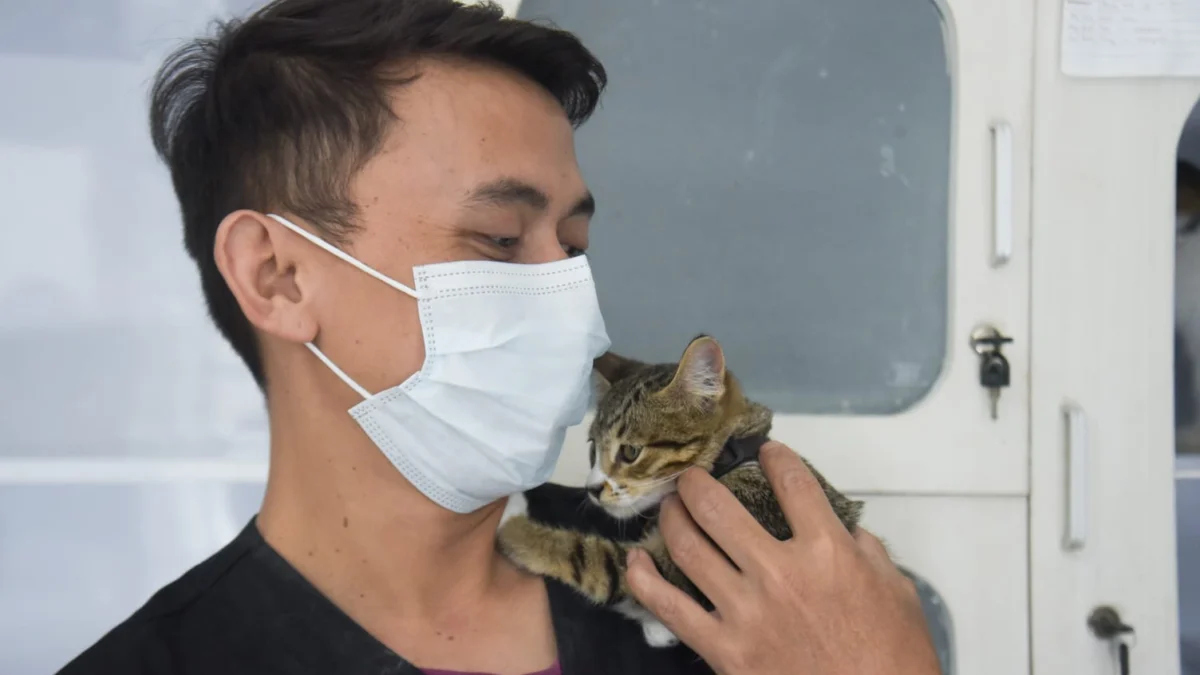 Ilustrasi: Seorang petugas merawat kucing. Foto: Dimas Rachmatsyah / Jabar Ekspres