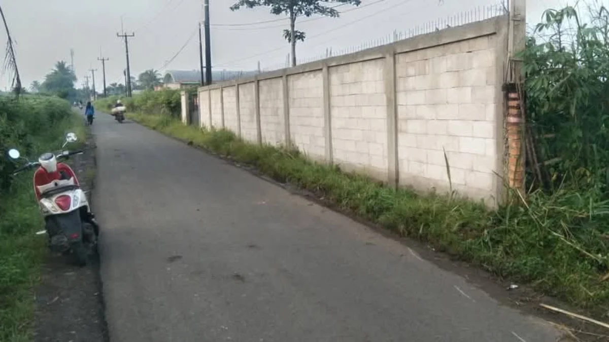 Dalam Sepekan, 3 Warga di Kecamatan Rancabungur Bogor Jadi Korban Begal TKP pembegalan di Rancabungur Bogor/Foto: Istimewa/