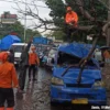 Pohon Tumbang Timpa Angkot di Bogor, Tiga Orang Alami Luka