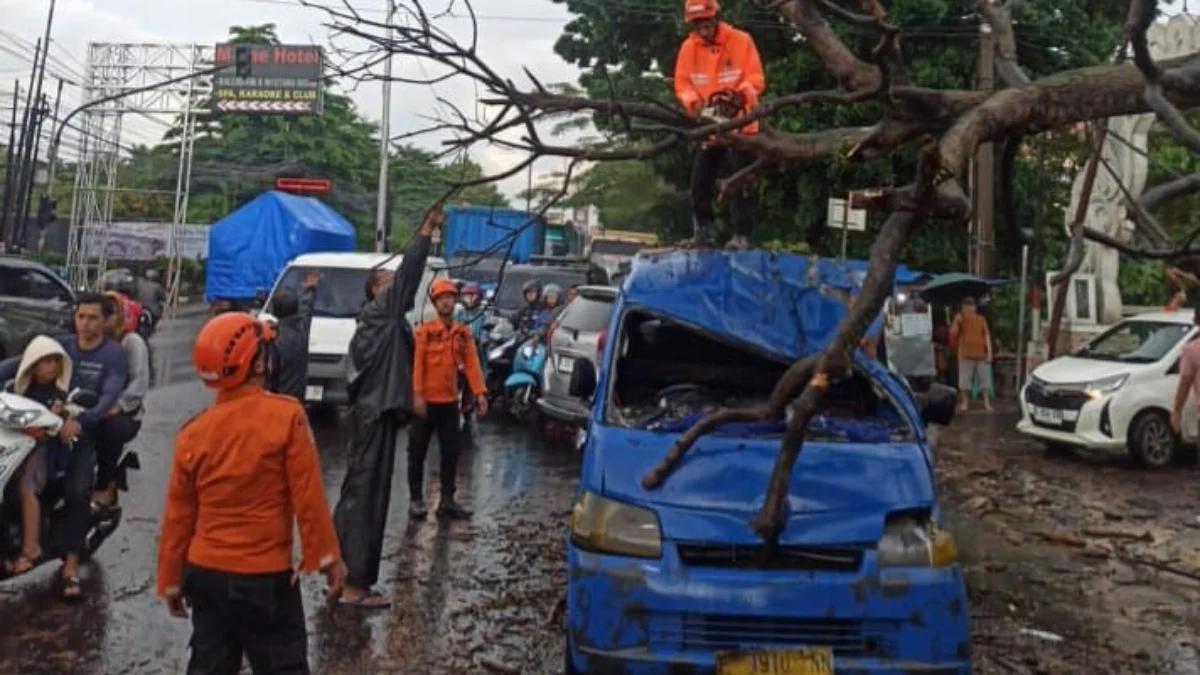 Pohon Tumbang Timpa Angkot di Bogor, Tiga Orang Alami Luka Pohon Tumbang Timpa Angkot di Bogor, Tiga Orang Alami Luka