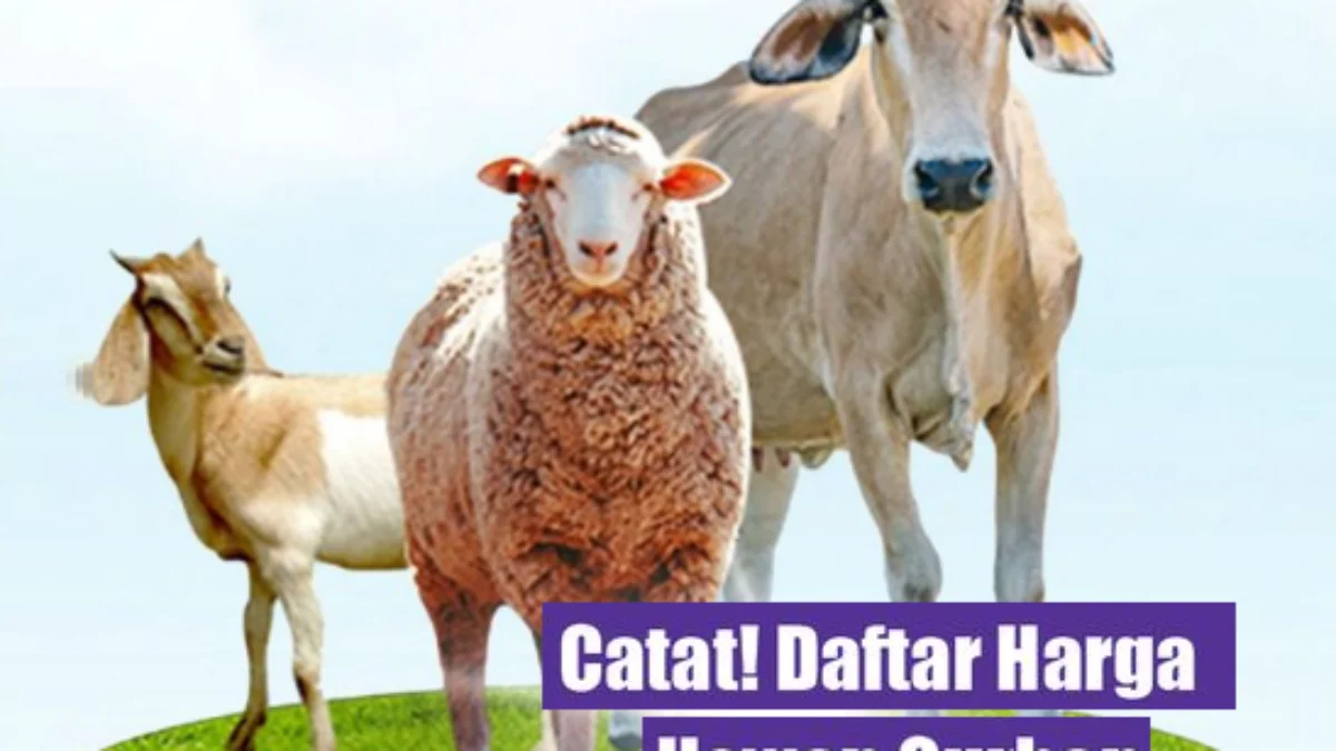 Cek Harga Terbaru Hewan Kambing, Domba, dan Sapi Kurban di Bandung Hari Ini