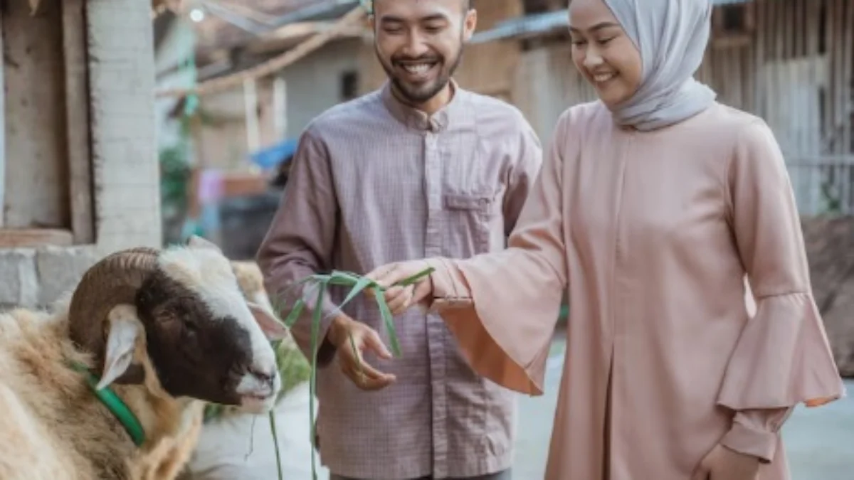 Apakah Berdosa Jika Orang Kaya Tidak Berqurban? Ini Dasar Hukumnya ILUSTRASI melaksanakan ibadah berqurban. (freepik)