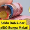 Cara Mendapatkan Saldo DANA Gratis 2025 Lewat Koin Rp500 Bergambar Melati