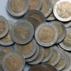 Benarkah Uang Koin Rp 1.000 Bergambar Kelapa Sawit Bernilai Rp 120 Juta? Berikut Rekomendasi Tempat Jualnya!
