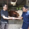 ILUSTRASI membayar hewan qurban (freepik)