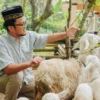 Ilustrasi melakukan ibadah qurban sebagai bukti cinta pada Allah (freepik)