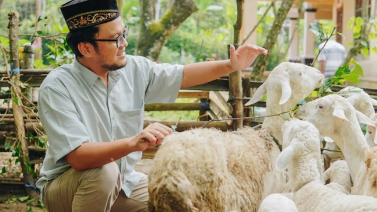 Ilustrasi melakukan ibadah qurban sebagai bukti cinta pada Allah (freepik)