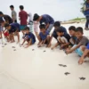 Telkom peringati World Turtle Day melalui inisiatif GoZero%