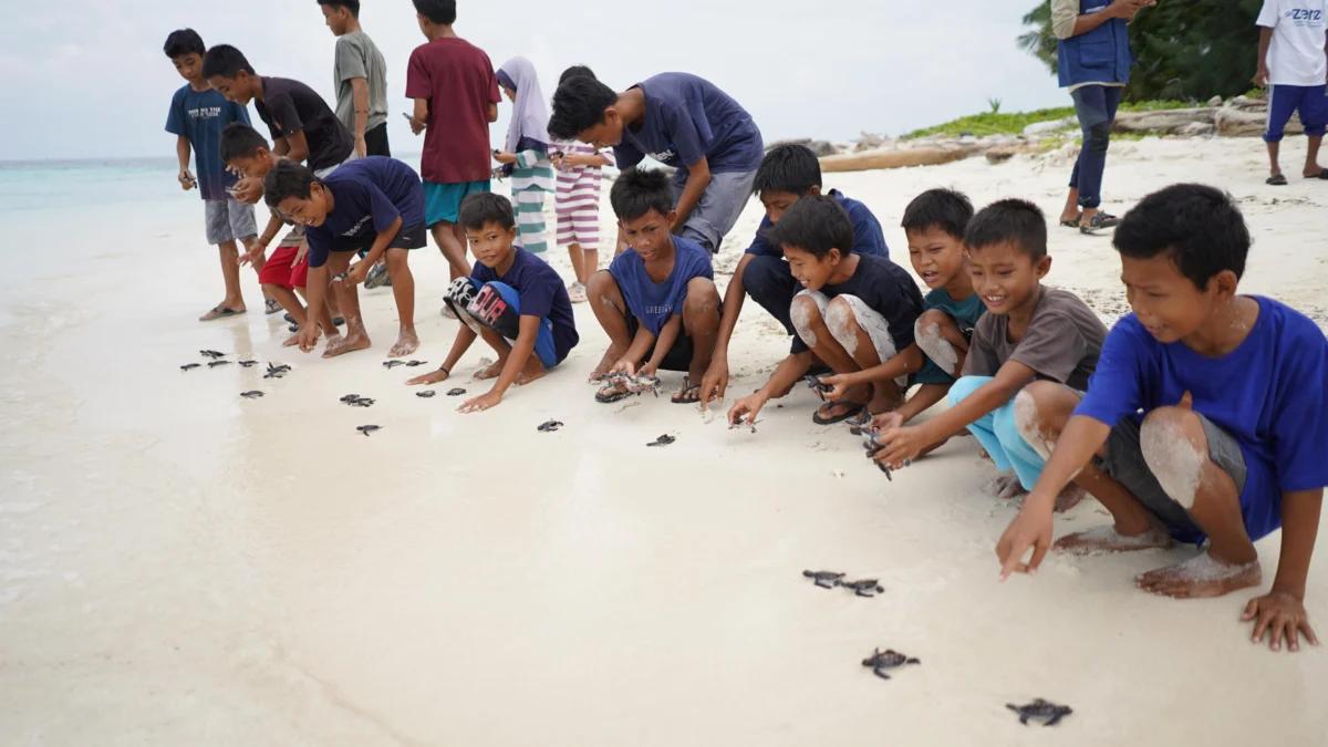 Peringati Hari Kura-Kura dan Penyu Sedunia, Telkom Lepas 200 Anak Penyu di Kapoposang, Sulawesi Selatan Telkom peringati World Turtle Day melalui inisiatif GoZero%