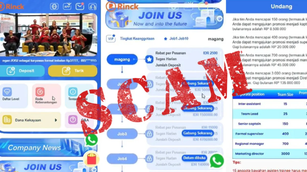 Skema Ponzi di Balik Aplikasi Rinck