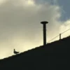 paus konklaf