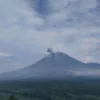 semeru erupsi