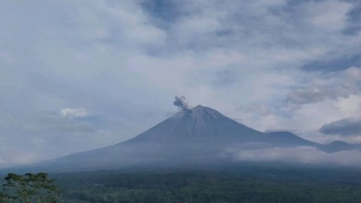 semeru erupsi