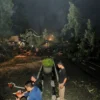 Pohon tumbang tutup akses jalan di wilayah Dago, Kota Bandung. (Humas Pemkot)
