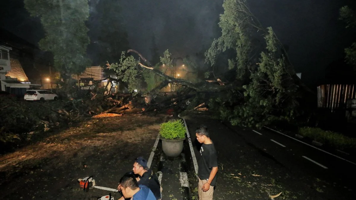 Pohon tumbang tutup akses jalan di wilayah Dago, Kota Bandung. (Humas Pemkot)