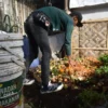 Petugas mengolah sampah organik hasil pilahan warga menjadi kompos di Laboratorium Kang Pisman di RW 7 Sarimanis, Kecamatan Sukasari, Kota Bandung, Jumat (30/5). Foto: Dimas Rachmatsyah / Jabar Ekspres
