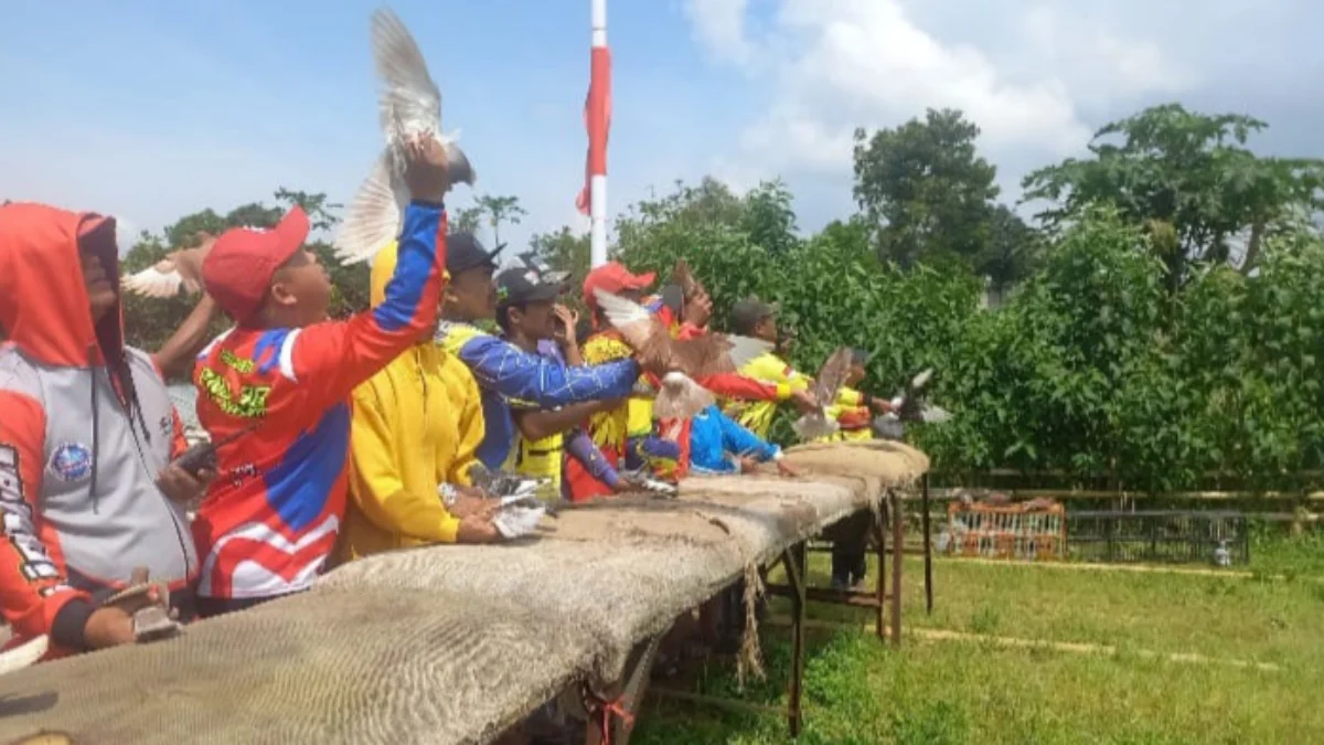 Para peserta lomba Anniversary Liga Priangan tengah melatih burung merpatinya di Lapak Sawargi Cileles, Kecamatan Jatinangor, Sumedang, Kamis (8/5).