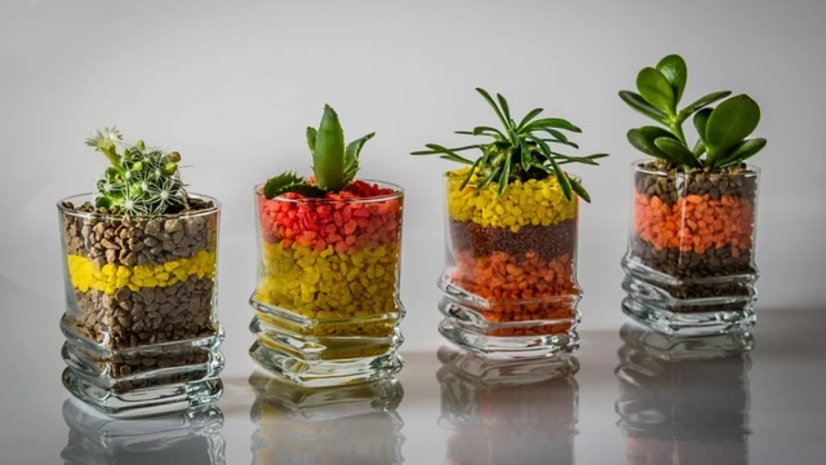 Tanaman Hias yang Cocok untuk Rumah Minimalis ( Sumber Gambar: Pixabay/kalachmiroslav)