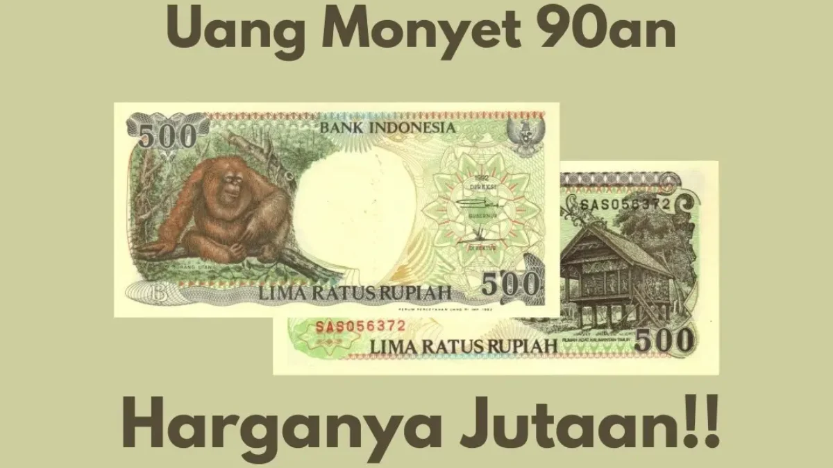 uang orang utan
