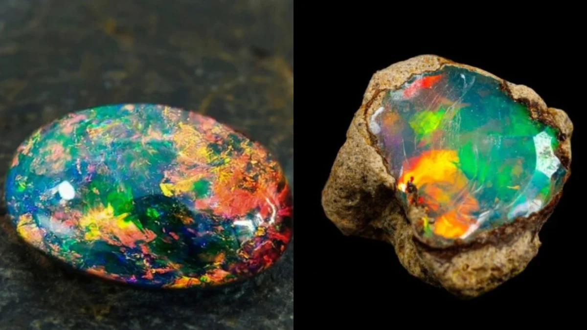 Batu Kalimaya Black Kalimaya Stone Jual Batu Kalimaya Koral Boulder Banten  Asli Di Seller Poetra Gems, image size:1200x675