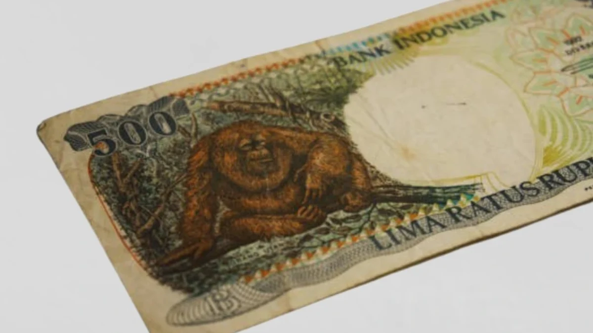 uang 500 rupiah bergambar orang utan