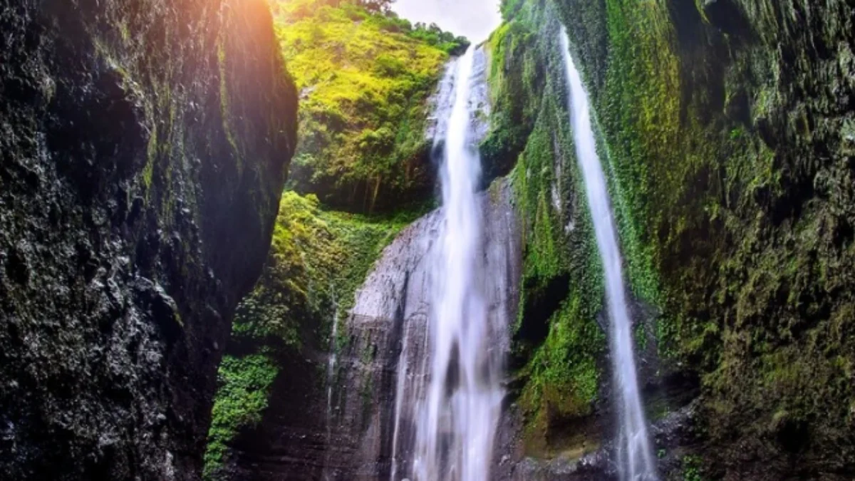 Tempat Wisata Alam di Bogor