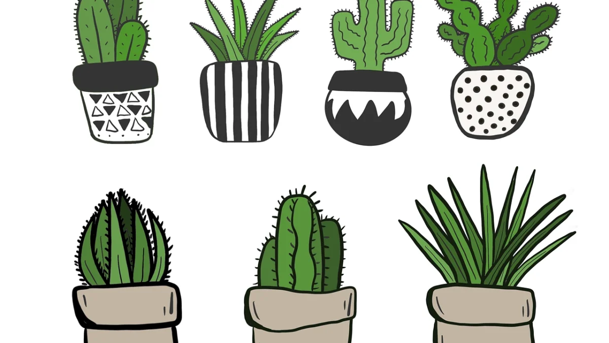 Tanaman Hias untuk Rumah Minimalis ( Sumber Gambar: ilustrasi/pixabay/ MeganLeeB)