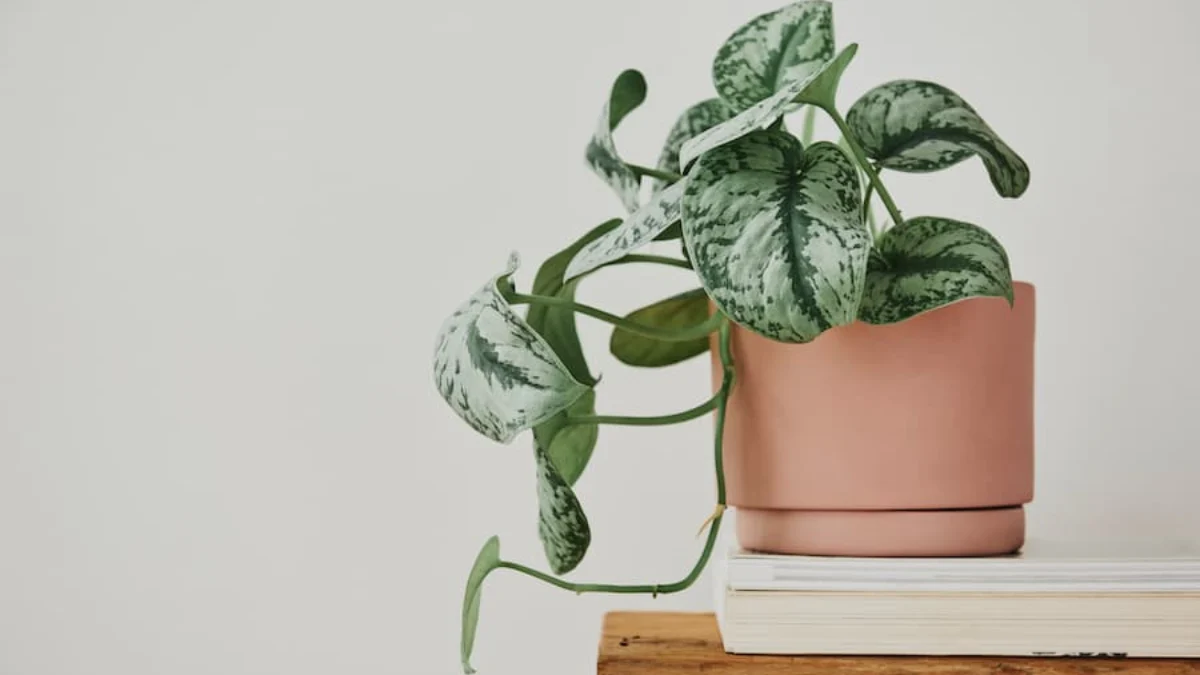 Tanaman yang Subur di Air