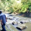 Sungai di kawasan Bandung Utara tercemar bakteri E Coli dari limbah kotoran hewan. Dok Jabar Ekspres /Suwitno