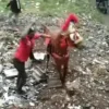Viral! Seekor Kuda Alami Penyiksaan di Kebon Kopi Cimahi, Dipukul Kayu Berkali-kali