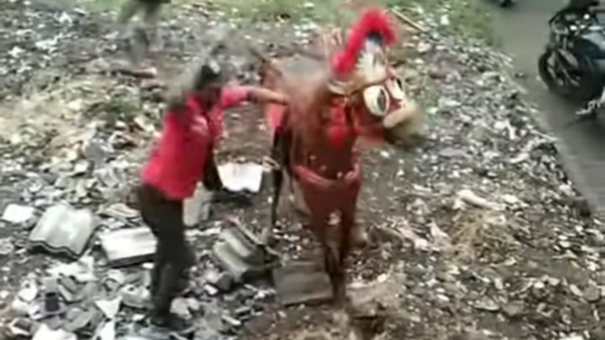 Viral! Seekor Kuda Alami Penyiksaan di Kebon Kopi Cimahi, Dipukul Kayu Berkali-kali Viral! Seekor Kuda Alami Penyiksaan di Kebon Kopi Cimahi, Dipukul Kayu Berkali-kali