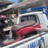 Kendaraan sepeda motor milik korban kecelakaan lalu lintas, yang terjadi di Jalan Raya Bandung-Garut wilayah Desa Mangunarg, Kecamatan Cimanggung, Kabupaten Sumedang. (Istimewa)