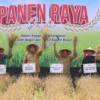 Bupati Bogor Warning Soal Alih Fungsi Lahan di Tengah Panen Raya Leuwisadeng / iSTIMEWA