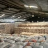 Penyerapan Beras BULOG Jawa Barat Tembus 352.680 Ton, Terbesar Sepanjang Sejarah