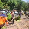 Proses evakuasi pohon tumbang di Jalan Raya Sumedang-Bandung, tepatnya di kawasan Cadas Pangeran, Kecamatan Pamulihan, Kabupaten Sumedang pada Senin, 12 Mei 2025.