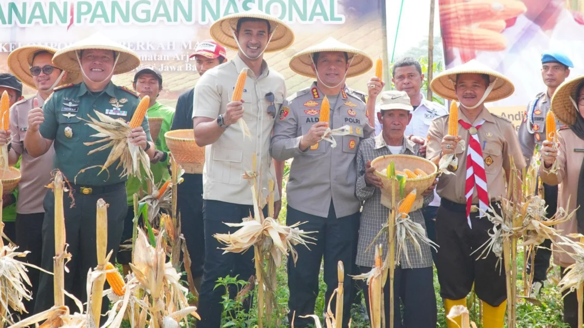 Wakil Bupati Bandung Ali Syakieb dan Kapolresta Bandung Kombes Pol Aldi Subartono serta unsur Forkopimda melaksanakan panen raya jagung di Kampung Cisema, Desa Mangunjaya, Kecamatan Arjasari, Rabu (14/5/2025). Foto Istimewa