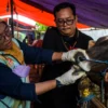 Ilustrasi: Petugas DKPP melakukan cek kesehatan terhadap hewan kurban sapi saat menjelang idul adha beberapa waktu lalu. Foto: Dimas Rachmatsyah / Jabar Ekspres