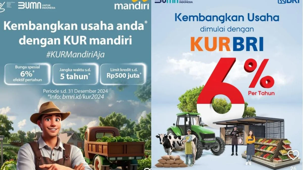 Perbandingan KUR BRI vs Mandiri 2015, Mana yang Lebih Baik?