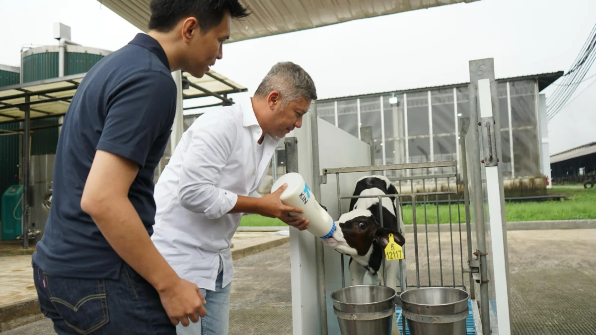Kolaborasi KIN Dairy dengan RANS Simba Basketball: Ajak Generasi Muda Hidup Lebih Sehat dan Aktif Dengan Susu A2