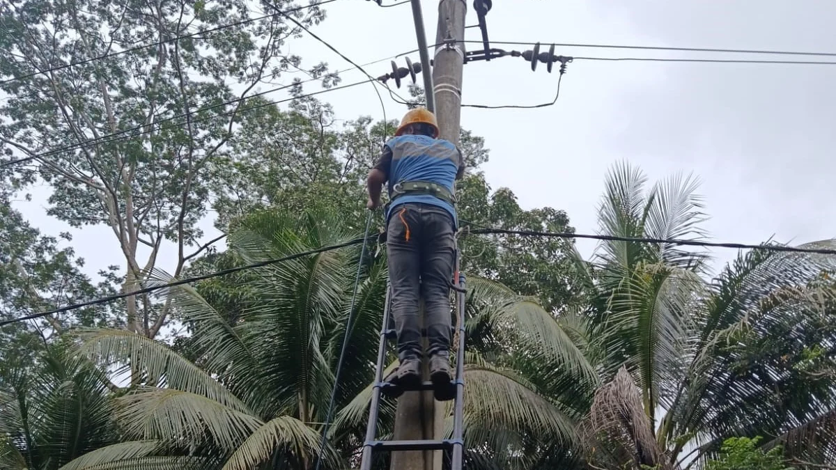 Terus Jaga Kualitas Jaringan, PLN Icon Plus SBU Regional Jawa Barat Konsisten Lakukan Patroli dan Perapihan Kabel Fiber Optik Terus Jaga Kualitas Jaringan, PLN Icon Plus SBU Regional Jawa Barat Konsisten Lakukan Patroli dan Perapihan Kabel Fiber Optik