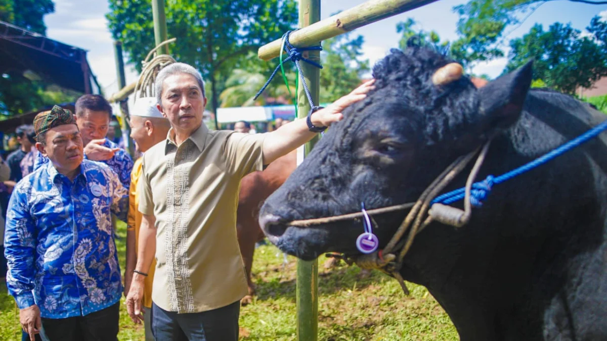 Wali Kota Bogor, Dedie A. Rachim saat meninjau pelaksanaan Bursa Hewan Qurban 2025 di area PUMPKIN, Jalan Pajajaran, Kota Bogor. (Yudha Prananda / Jabar Ekspres)