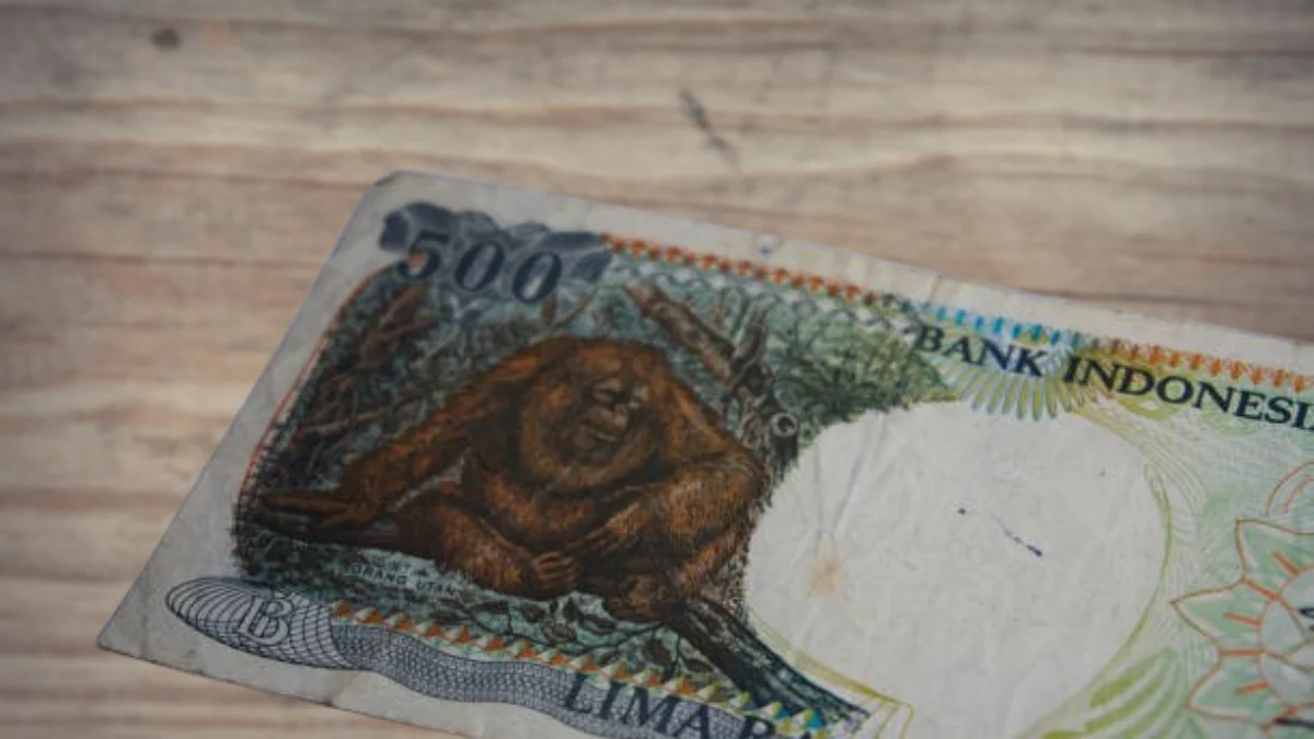 Uang Kuno Bergambar Orang Utan