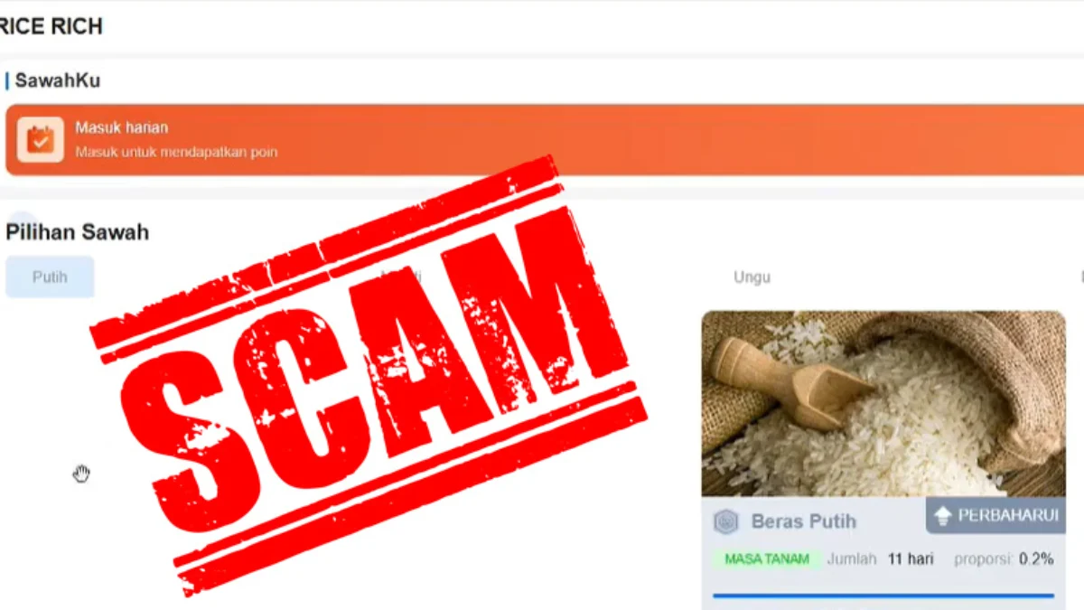Aplikasi Rice Rich Modus Investasi Beras