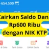 Cairkan Saldo DANA Rp600 Ribu Cukup Pakai NIK KTP, ini Caranya