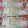 Jangan Belanjain! Uang 75 Ribu Rupiah Bisa Dihargai Jutaan Rupiah di Mata Kolektor